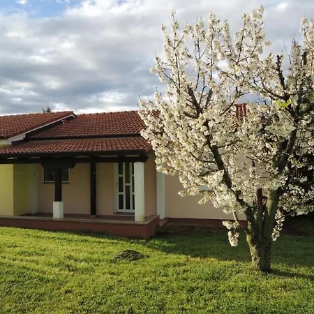 Mit Pool Und Garten In Ferienhaus